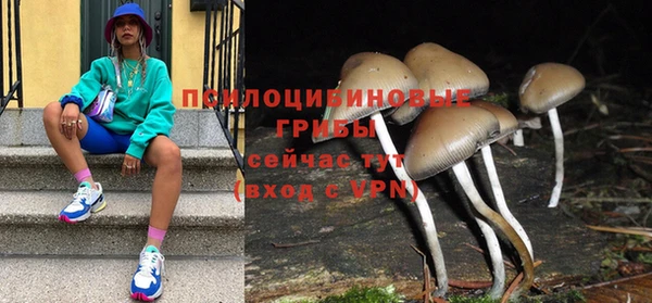 СК Бородино