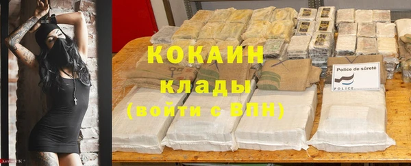 СК Бородино
