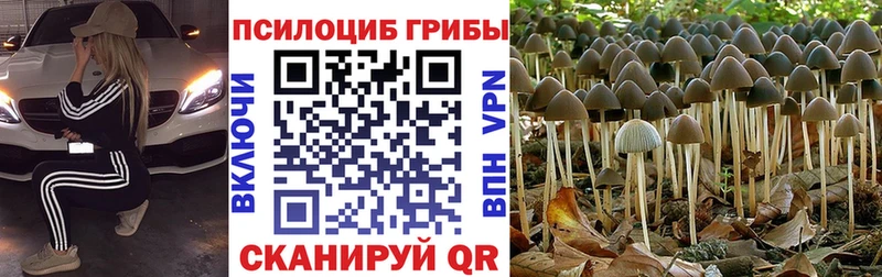 Галлюциногенные грибы MAGIC MUSHROOMS  omg сайт  Энгельс 